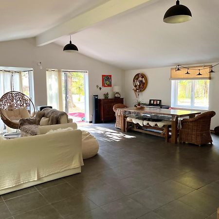 House De La Canopee, Swimming Pool, Lake, Forest, Large Garden And Wifi Hourtin Ngoại thất bức ảnh