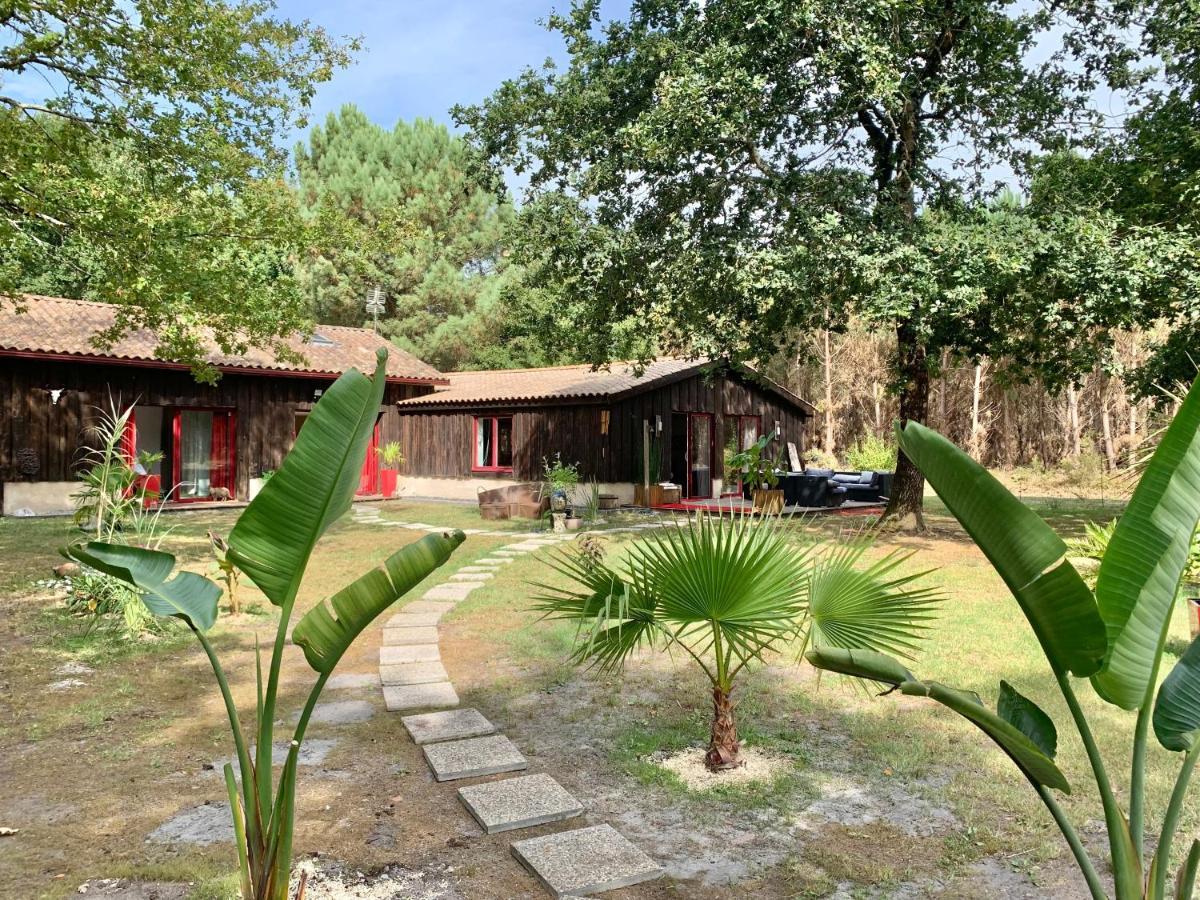 House De La Canopee, Swimming Pool, Lake, Forest, Large Garden And Wifi Hourtin Ngoại thất bức ảnh