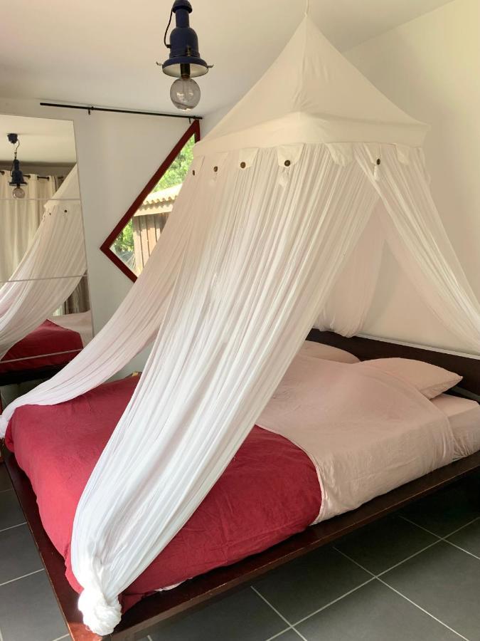 House De La Canopee, Swimming Pool, Lake, Forest, Large Garden And Wifi Hourtin Ngoại thất bức ảnh