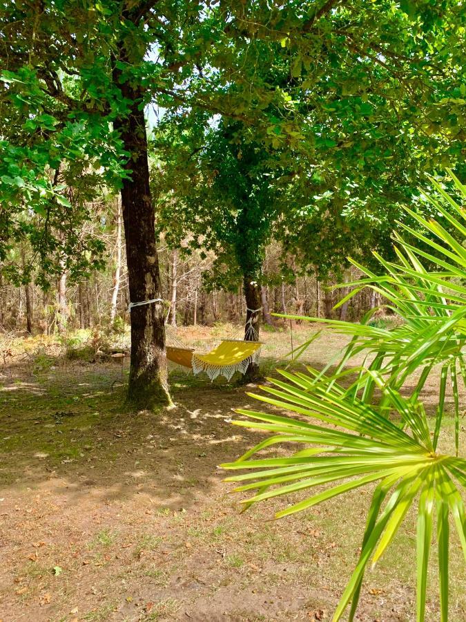 House De La Canopee, Swimming Pool, Lake, Forest, Large Garden And Wifi Hourtin Ngoại thất bức ảnh