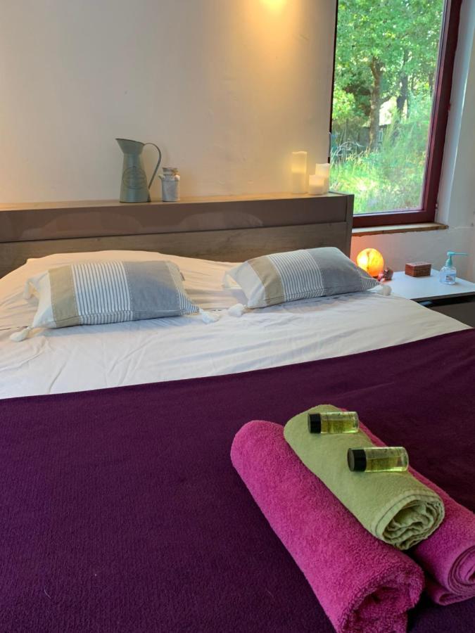House De La Canopee, Swimming Pool, Lake, Forest, Large Garden And Wifi Hourtin Ngoại thất bức ảnh