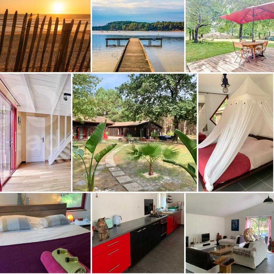 House De La Canopee, Swimming Pool, Lake, Forest, Large Garden And Wifi Hourtin Ngoại thất bức ảnh